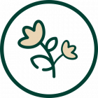 icon box image