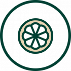icon box image