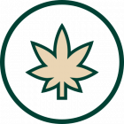 icon box image